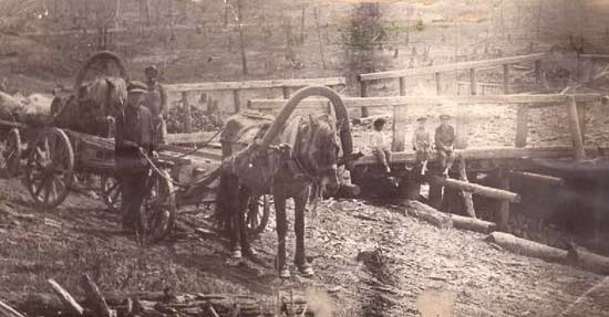 Jewish workers in Birobidjan fields 1931
